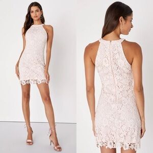 LULUS LOVE POEM PINK CROCHET FLORAL LACE HALTER STYLE MINI SHEATH COCKTAIL DRESS